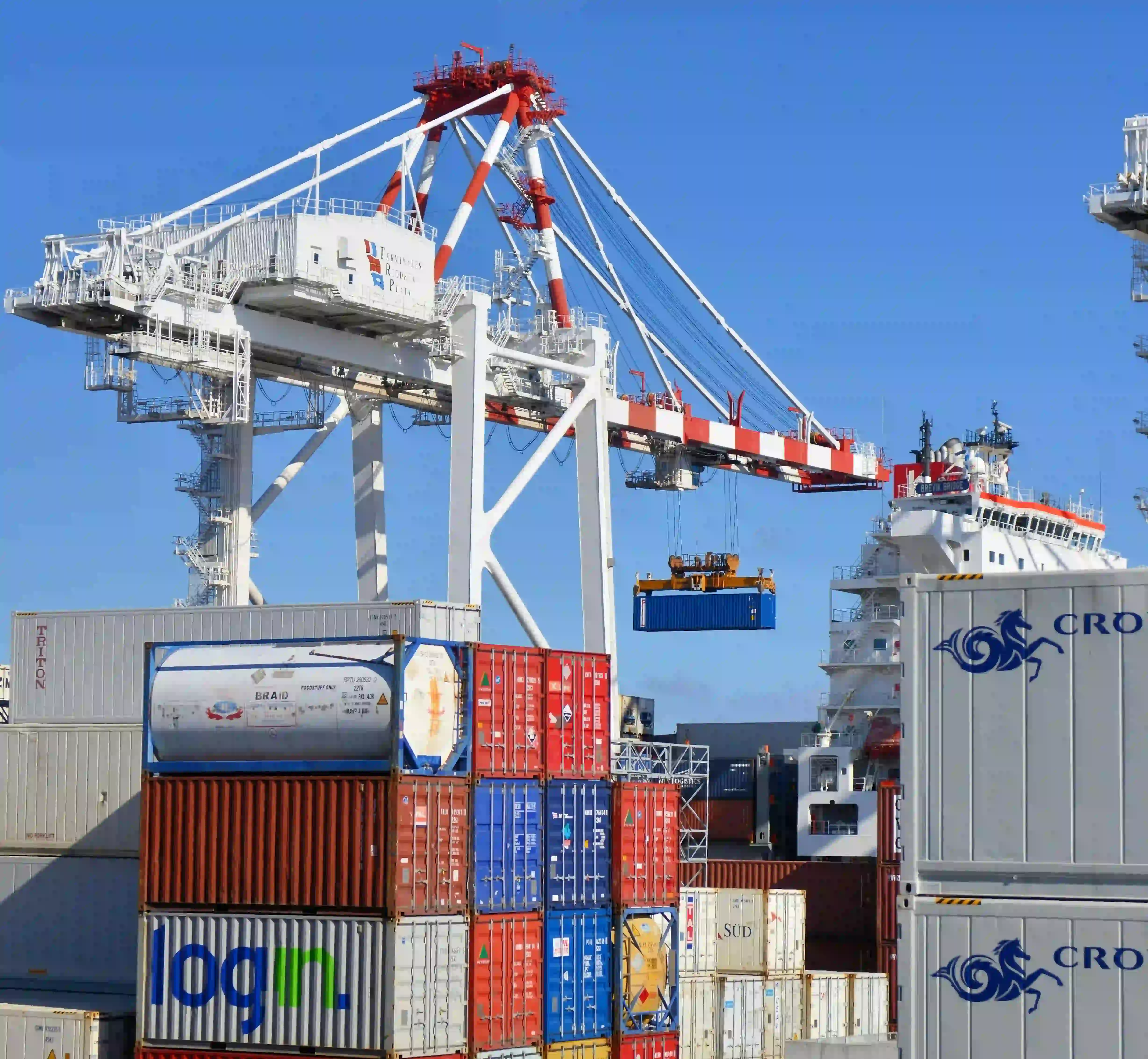 Business collaboration form illustration